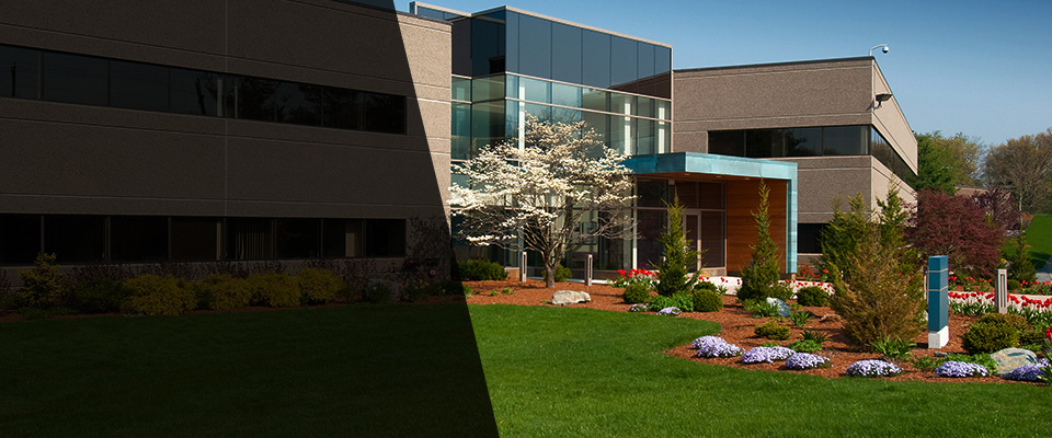 Glenelg Landscapers