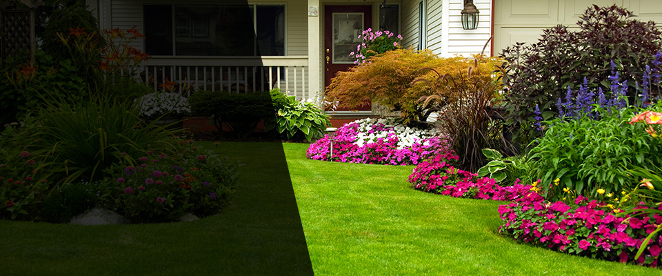 Glenelg Landscapers