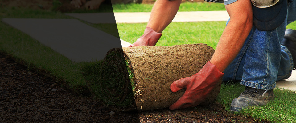 Glenelg Landscapers